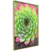 Wall Poster Succulent - botanical composition with green-pink tropical leaves 114306 additionalThumb 3