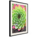 Wall Poster Succulent - botanical composition with green-pink tropical leaves 114306 additionalThumb 13