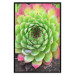 Wall Poster Succulent - botanical composition with green-pink tropical leaves 114306 additionalThumb 24