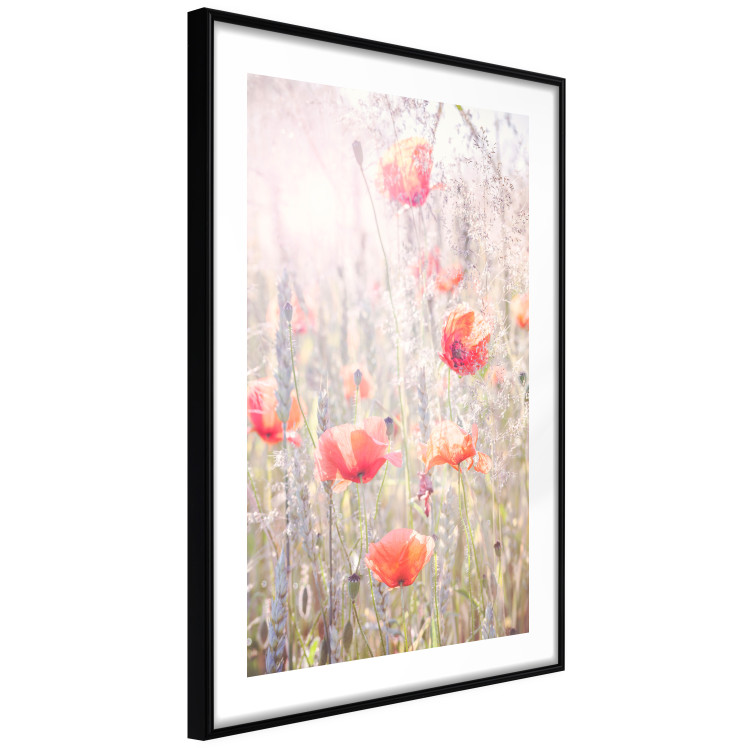 Wall Poster Summer Meadow - colorful composition with red poppies among field flowers 116406 additionalImage 13