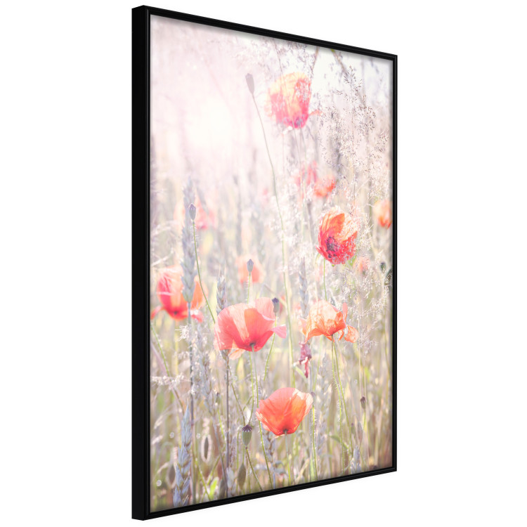Wall Poster Summer Meadow - colorful composition with red poppies among field flowers 116406 additionalImage 10