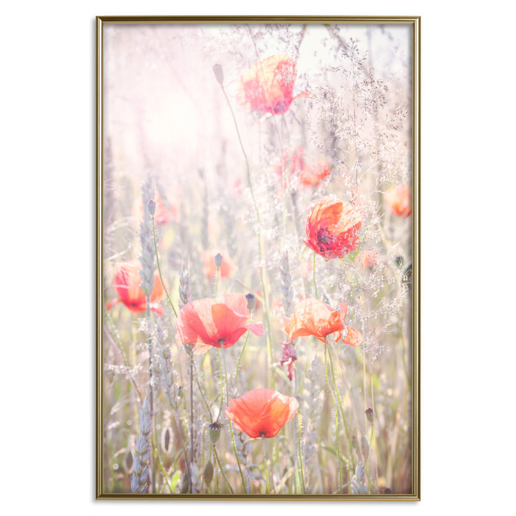 Wall Poster Summer Meadow - colorful composition with red poppies among field flowers 116406 additionalImage 26