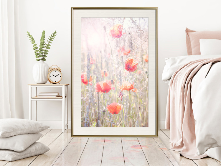 Wall Poster Summer Meadow - colorful composition with red poppies among field flowers 116406 additionalImage 16
