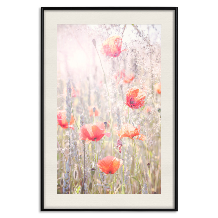 Wall Poster Summer Meadow - colorful composition with red poppies among field flowers 116406 additionalImage 18