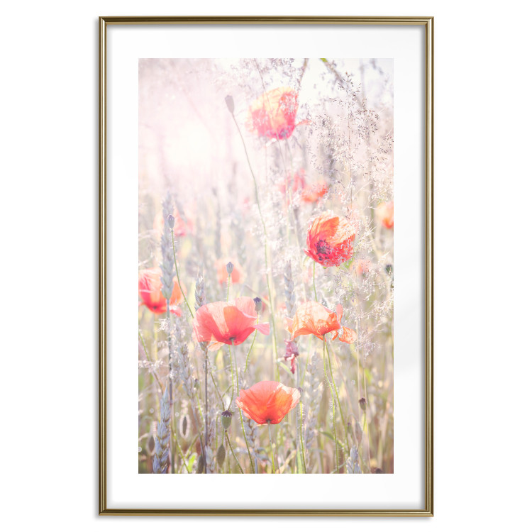Wall Poster Summer Meadow - colorful composition with red poppies among field flowers 116406 additionalImage 14