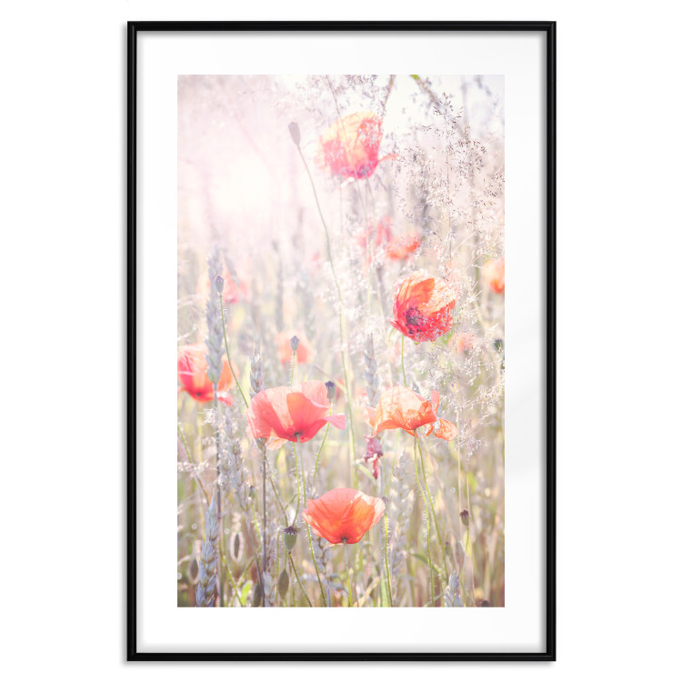 Wall Poster Summer Meadow - colorful composition with red poppies among field flowers 116406 additionalImage 20
