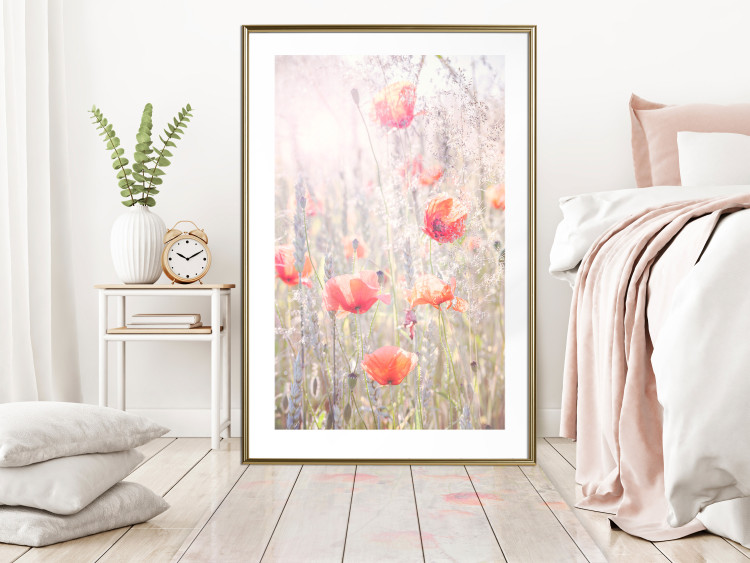 Wall Poster Summer Meadow - colorful composition with red poppies among field flowers 116406 additionalImage 15