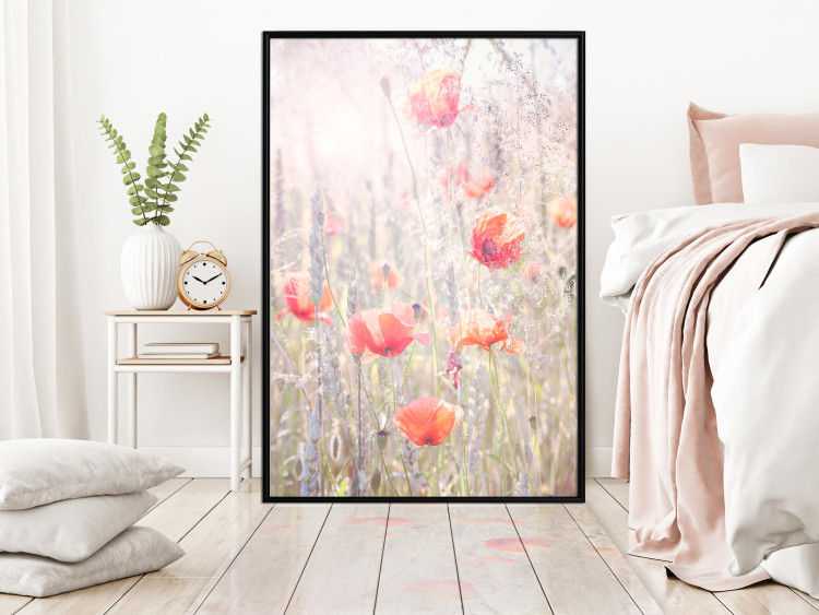 Wall Poster Summer Meadow - colorful composition with red poppies among field flowers 116406 additionalImage 5