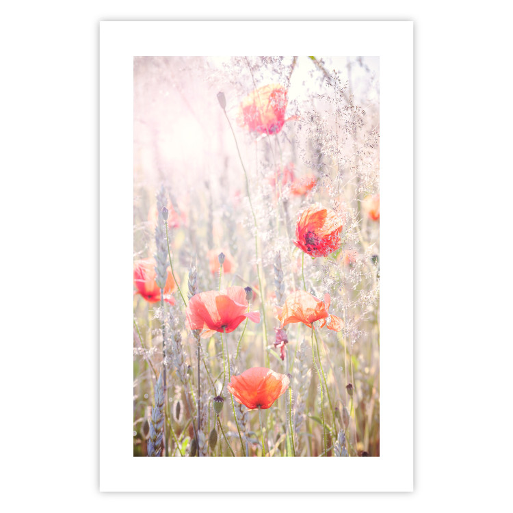 Wall Poster Summer Meadow - colorful composition with red poppies among field flowers 116406 additionalImage 24