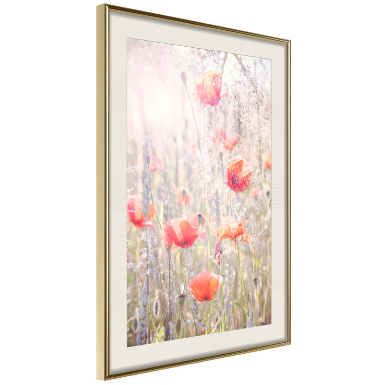 Wall Poster Summer Meadow - colorful composition with red poppies among field flowers 116406 additionalImage 2