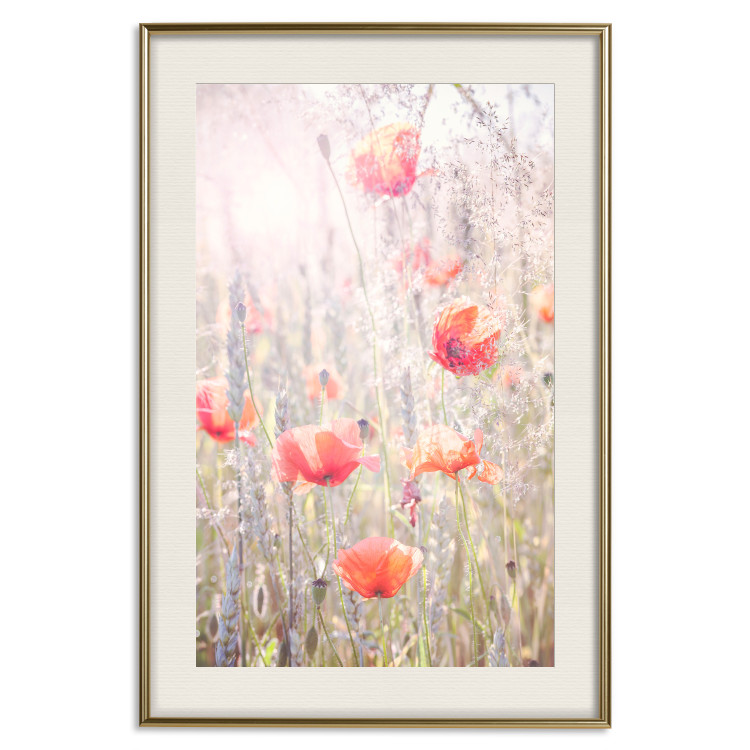Wall Poster Summer Meadow - colorful composition with red poppies among field flowers 116406 additionalImage 20