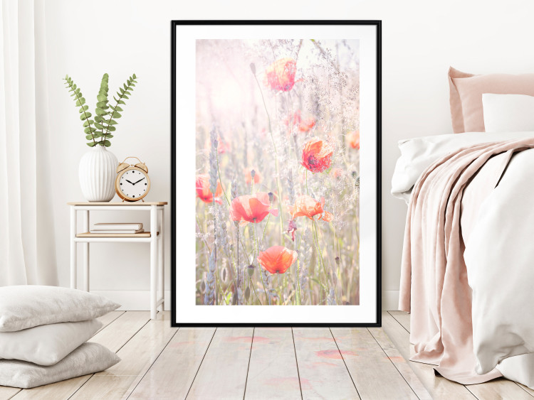 Wall Poster Summer Meadow - colorful composition with red poppies among field flowers 116406 additionalImage 6