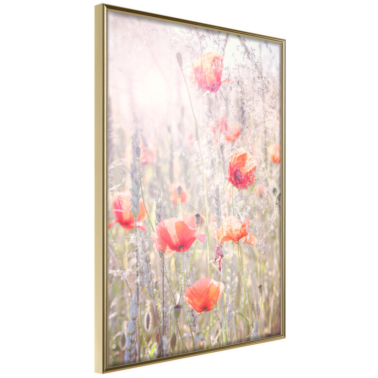 Wall Poster Summer Meadow - colorful composition with red poppies among field flowers 116406 additionalImage 14