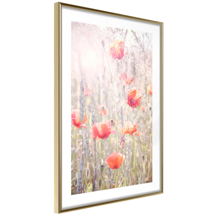 Wall Poster Summer Meadow - colorful composition with red poppies among field flowers 116406 additionalImage 6