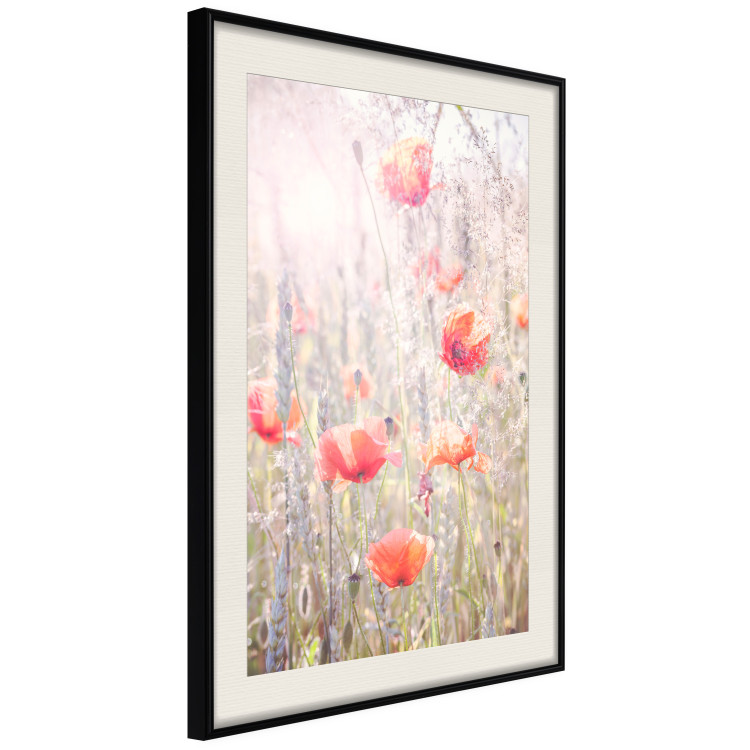 Wall Poster Summer Meadow - colorful composition with red poppies among field flowers 116406 additionalImage 3