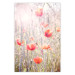Wall Poster Summer Meadow - colorful composition with red poppies among field flowers 116406