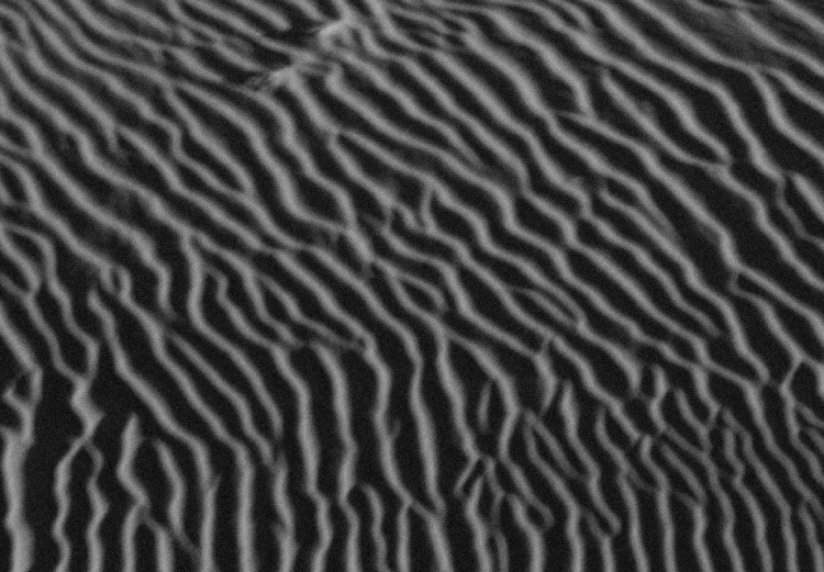 Wall Poster Desert Dunes - black and white landscape amidst hot desert sands 116506 additionalImage 4