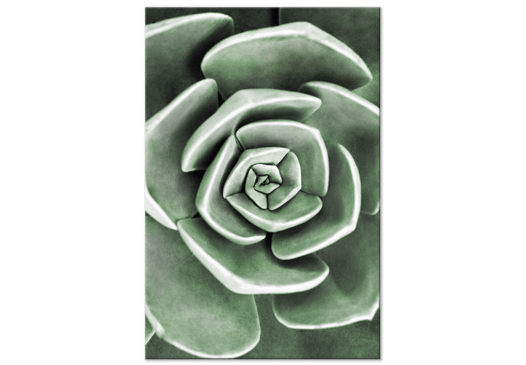 Canvas Art Print Green Rebirth (1-part) - Cactus Nature in Sage Green Shade 117106