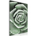 Canvas Art Print Green Rebirth (1-part) - Cactus Nature in Sage Green Shade 117106 additionalThumb 2