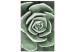 Canvas Art Print Green Rebirth (1-part) - Cactus Nature in Sage Green Shade 117106