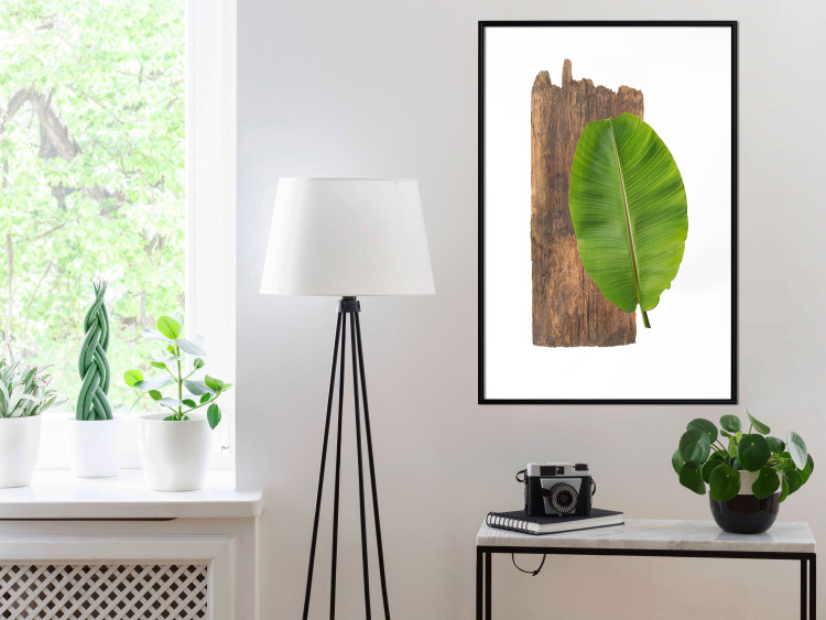 Poster Gravity of Nature - green leaf and wooden piece of plank on a white background 122606 additionalImage 6