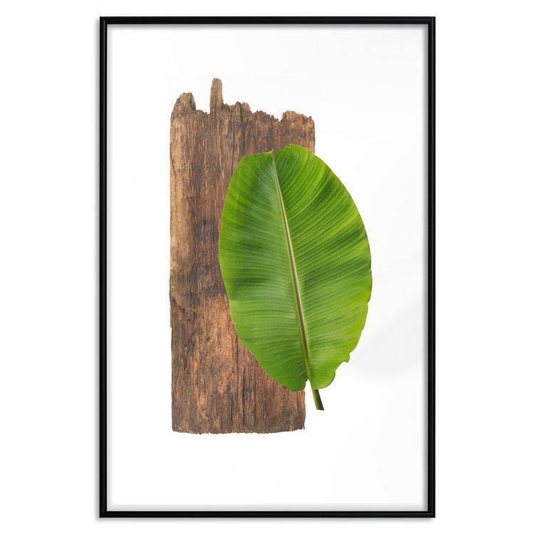 Poster Gravity of Nature - green leaf and wooden piece of plank on a white background 122606 additionalImage 17