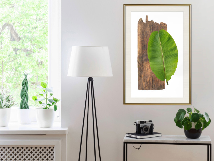 Poster Gravity of Nature - green leaf and wooden piece of plank on a white background 122606 additionalImage 21