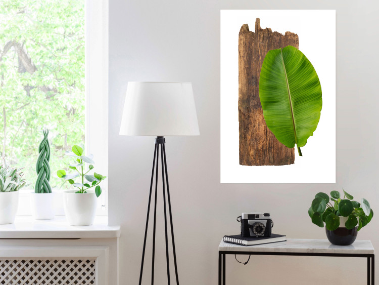Poster Gravity of Nature - green leaf and wooden piece of plank on a white background 122606 additionalImage 23