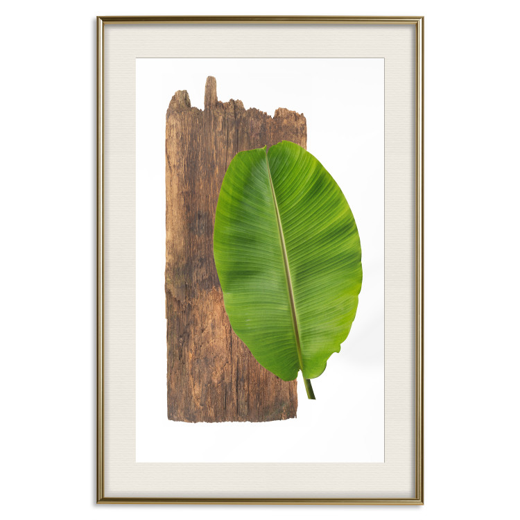 Poster Gravity of Nature - green leaf and wooden piece of plank on a white background 122606 additionalImage 19