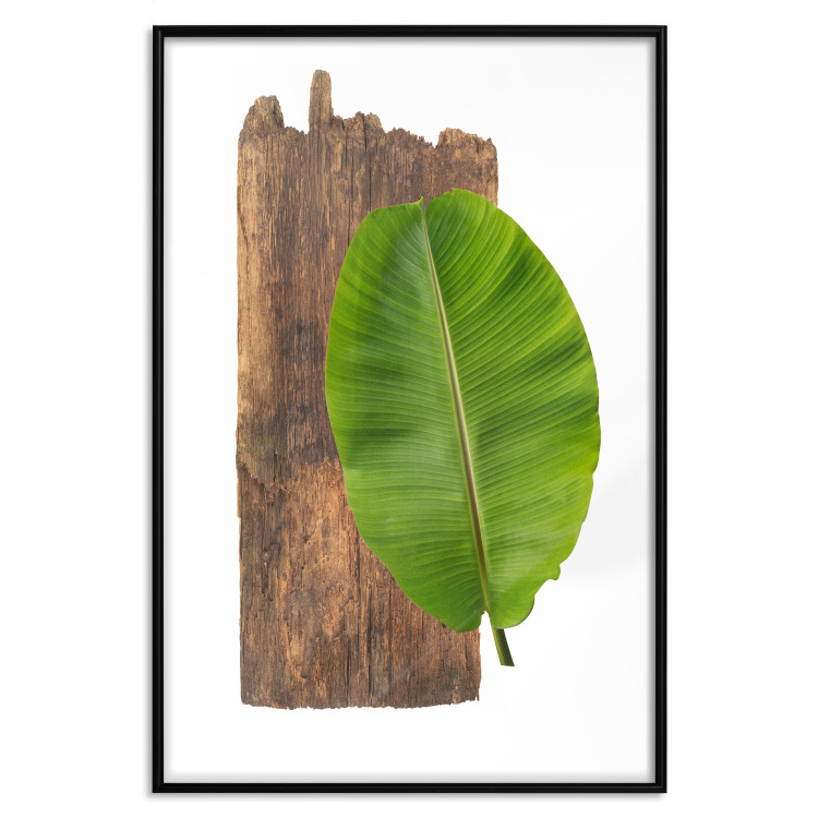 Poster Gravity of Nature - green leaf and wooden piece of plank on a white background 122606 additionalImage 24