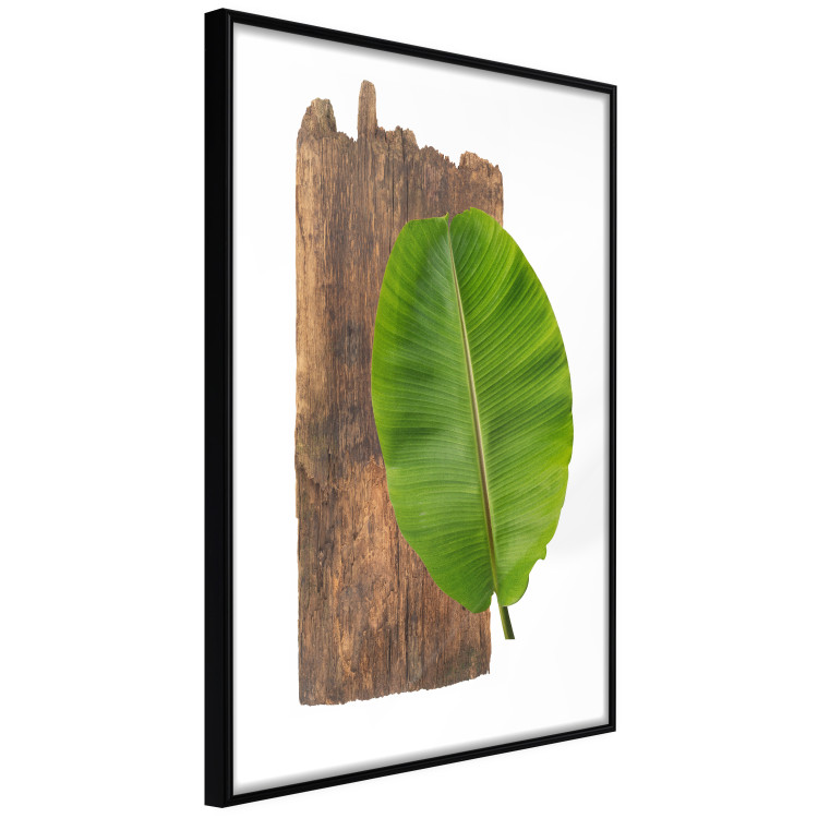 Wall art collection Wildlife 124909 additionalImage 2
