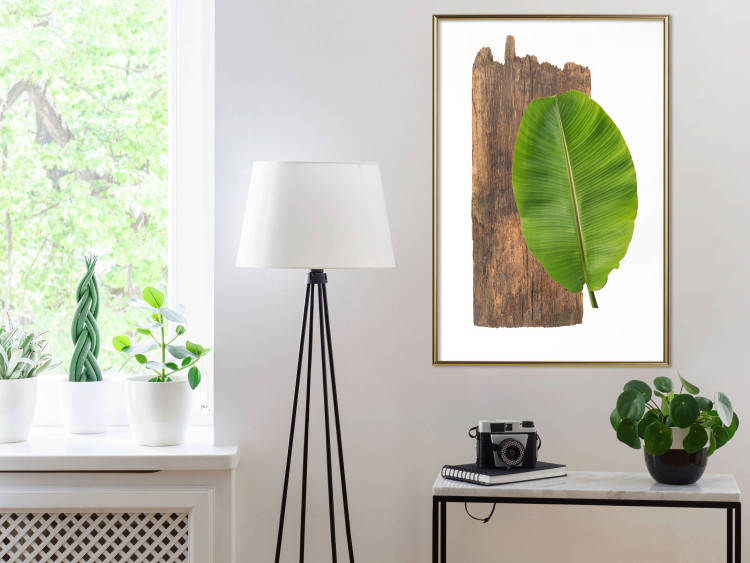Poster Gravity of Nature - green leaf and wooden piece of plank on a white background 122606 additionalImage 7