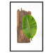 Poster Gravity of Nature - green leaf and wooden piece of plank on a white background 122606 additionalThumb 17