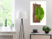 Poster Gravity of Nature - green leaf and wooden piece of plank on a white background 122606 additionalThumb 23