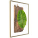 Poster Gravity of Nature - green leaf and wooden piece of plank on a white background 122606 additionalThumb 14