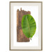 Poster Gravity of Nature - green leaf and wooden piece of plank on a white background 122606 additionalThumb 19