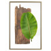 Poster Gravity of Nature - green leaf and wooden piece of plank on a white background 122606 additionalThumb 20