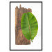 Poster Gravity of Nature - green leaf and wooden piece of plank on a white background 122606 additionalThumb 24