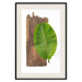 Poster Gravity of Nature - green leaf and wooden piece of plank on a white background 122606 additionalThumb 18