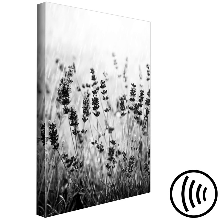 Canvas Blooming lavender - meadow with lavender flowers black and white photo 123806 additionalImage 6