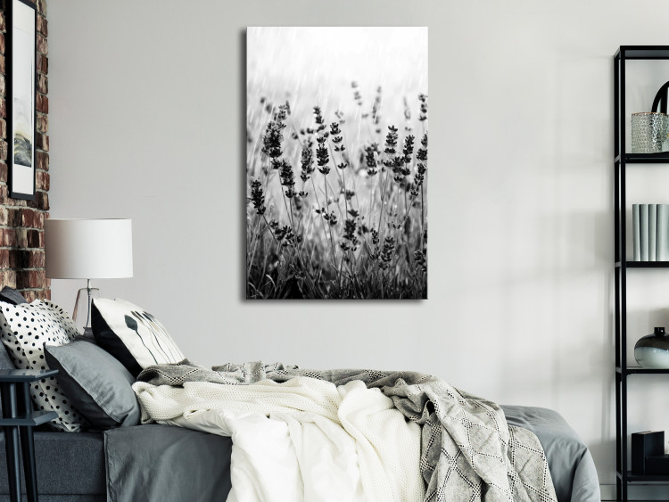 Canvas Blooming lavender - meadow with lavender flowers black and white photo 123806 additionalImage 3