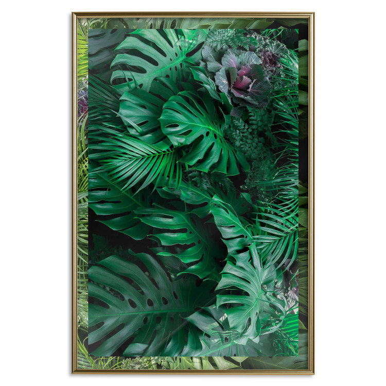 Poster Dense Jungle - plant composition of tropical greenish jungle 134506 additionalImage 21