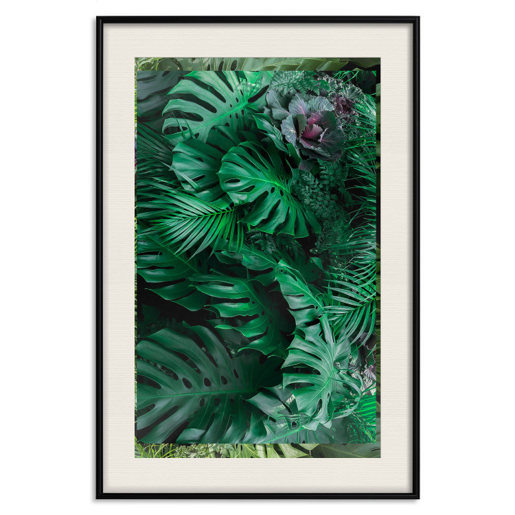 Poster Dense Jungle - plant composition of tropical greenish jungle 134506 additionalImage 19