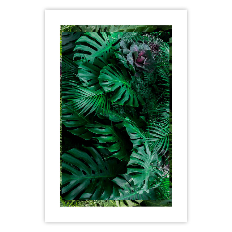 Poster Dense Jungle - plant composition of tropical greenish jungle 134506 additionalImage 25