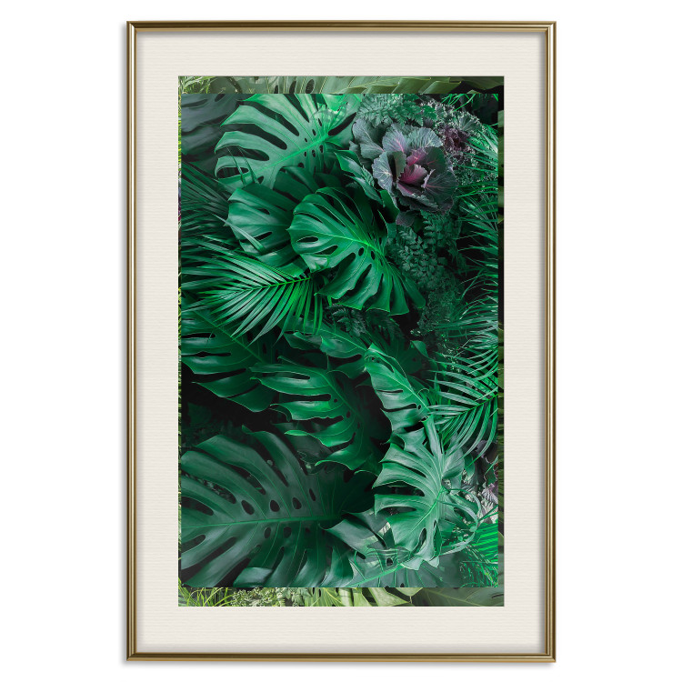 Poster Dense Jungle - plant composition of tropical greenish jungle 134506 additionalImage 20