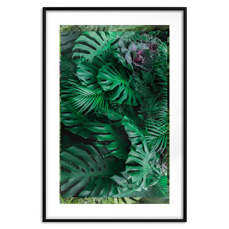 Poster Dense Jungle - plant composition of tropical greenish jungle 134506 additionalImage 15