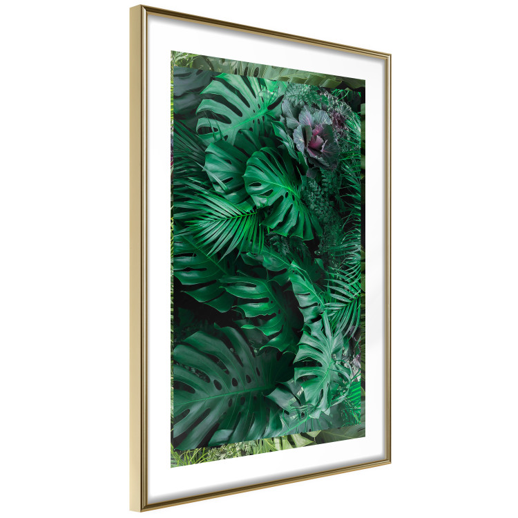 Poster Dense Jungle - plant composition of tropical greenish jungle 134506 additionalImage 7