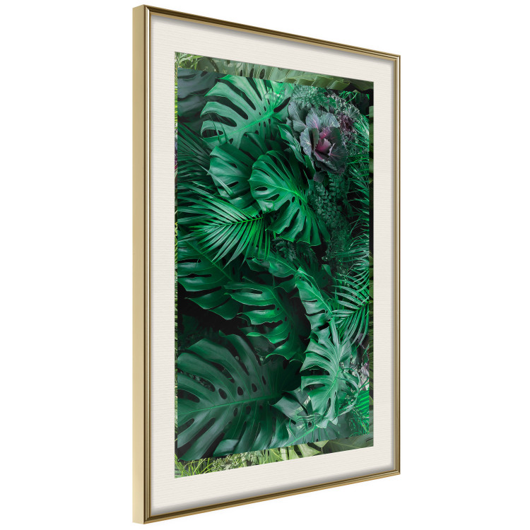 Poster Dense Jungle - plant composition of tropical greenish jungle 134506 additionalImage 3