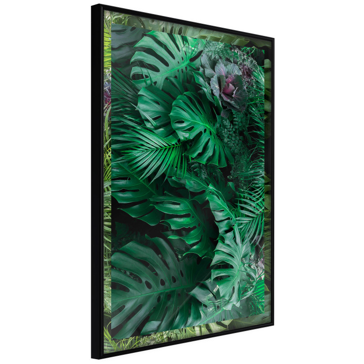 Poster Dense Jungle - plant composition of tropical greenish jungle 134506 additionalImage 13
