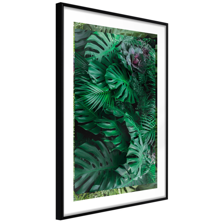 Poster Dense Jungle - plant composition of tropical greenish jungle 134506 additionalImage 8